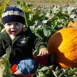 Eckert's Millstadt Farm Haunted Hayrides photo