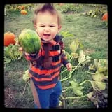 Eckert's Millstadt Farm Haunted Hayrides photo