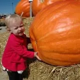Eckert's Millstadt Farm Haunted Hayrides photo