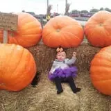 Eckert's Millstadt Farm Haunted Hayrides photo