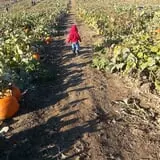 Eckert's Millstadt Farm Haunted Hayrides photo
