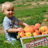 Eckert's Millstadt Farm Haunted Hayrides photo