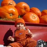 Eckert's Millstadt Farm Haunted Hayrides photo