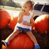 Eckert's Millstadt Farm Haunted Hayrides photo