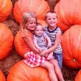 Eckert's Millstadt Farm Haunted Hayrides photo