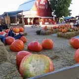 Eckert's Millstadt Farm Haunted Hayrides photo