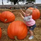 Eckert's Millstadt Farm Haunted Hayrides photo