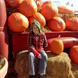 Eckert's Millstadt Farm Haunted Hayrides photo