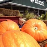 Eckert's Millstadt Farm Haunted Hayrides photo