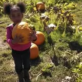 Eckert's Millstadt Farm Haunted Hayrides photo