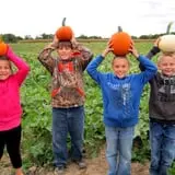 Eckert's Millstadt Farm Haunted Hayrides photo