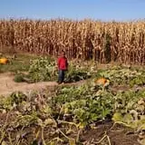Eckert's Millstadt Farm Haunted Hayrides photo