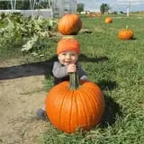 Eckert's Millstadt Farm Haunted Hayrides photo