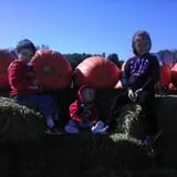 Eckert's Millstadt Farm Haunted Hayrides photo