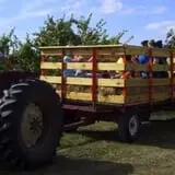 Heritage Orchard photo