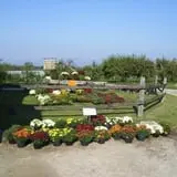 Heritage Orchard photo