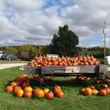 Heritage Orchard photo