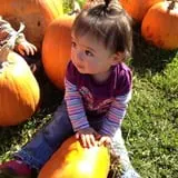 Fawcett Farms photo