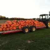 Fawcett Farms photo