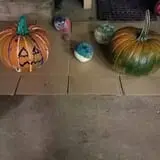 Fawcett Farms photo