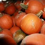 Fawcett Farms photo