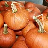 Fawcett Farms photo