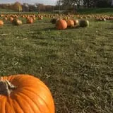 Fawcett Farms photo