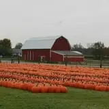 Fawcett Farms photo