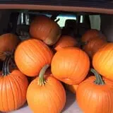 Fawcett Farms photo