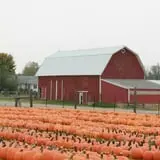 Fawcett Farms photo