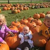 Fawcett Farms photo