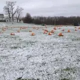Fawcett Farms photo