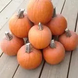 Fawcett Farms photo