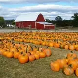 Fawcett Farms photo