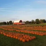 Fawcett Farms photo