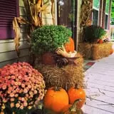 Fawcett Farms photo