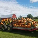 Fawcett Farms photo