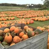 Fawcett Farms photo