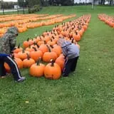 Fawcett Farms photo