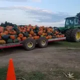 Fawcett Farms photo