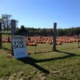 Fawcett Farms photo