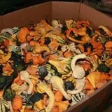 Fawcett Farms photo