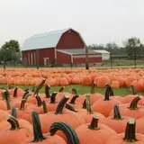 Fawcett Farms photo