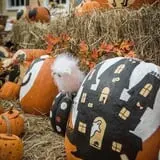 Strong Family Farm Harvest Festival photo