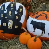 Strong Family Farm Harvest Festival photo