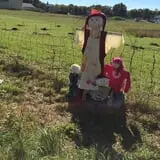 Strong Family Farm Harvest Festival photo