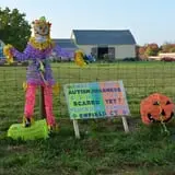 Strong Family Farm Harvest Festival photo
