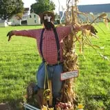 Strong Family Farm Harvest Festival photo