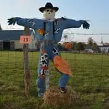Strong Family Farm Harvest Festival photo