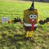 Strong Family Farm Harvest Festival photo